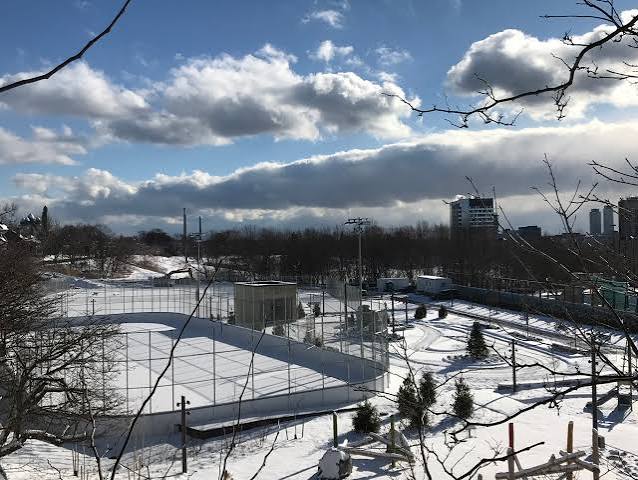Fields, courts, and the Sunday hill