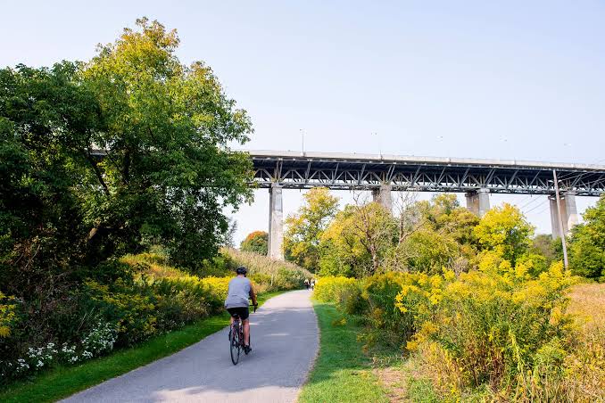 The Lower Don Trail